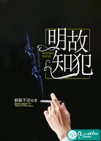明知故犯章节列表