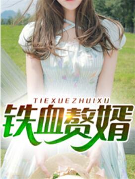 铁血赘婿萧辰章节列表
