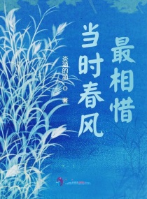 当时春风最相惜章节列表
