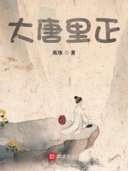 大唐里正章节列表