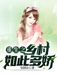 重生之乡村如此多娇章节列表