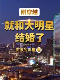 刚穿越就和大明星结婚了章节列表