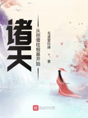 诸天从挖傻柱根基开始章节列表