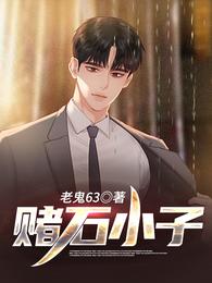 赌石小子章节列表