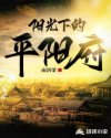 阳光下的平阳府章节列表