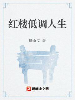 红楼低调人生章节列表
