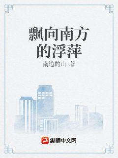 飘向南方的浮萍章节列表