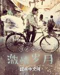 四合院之激情岁月章节列表