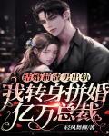 渣男花式出轨，我转身拼婚亿万总裁章节列表