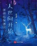 影视编辑器章节列表