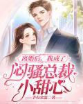 离婚后，我成了闷骚总裁小甜心章节列表