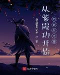从紫霞功开始的武侠之旅章节列表