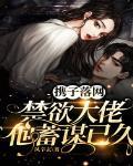 浅尝章节列表