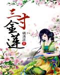 三寸金莲章节列表