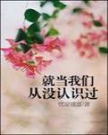 就当我们从没认识过章节列表