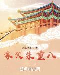 家父朱重八章节列表