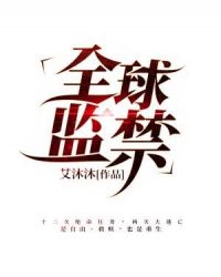 全球监禁章节列表