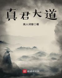 真君大道章节列表