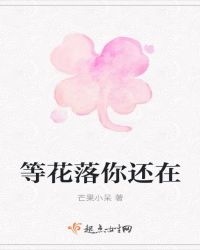 等花落你还在章节列表