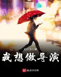 我想做导演章节列表