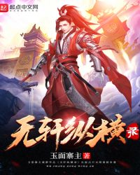 无轩纵横录章节列表