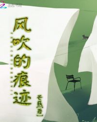 风吹的痕迹章节列表