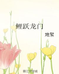 鲤跃龙门章节列表