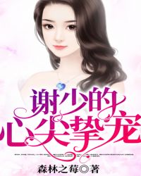 谢少的心尖挚宠章节列表