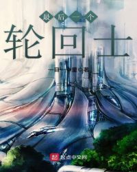 最后一个轮回士章节列表