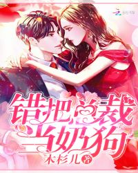 错把总裁当奶狗章节列表