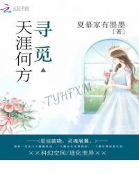 寻觅，天涯何方章节列表