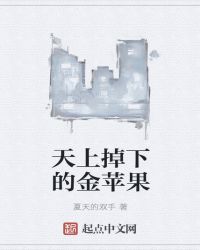 天上掉下的金苹果章节列表