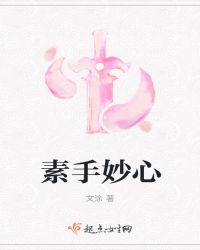 素手妙心章节列表