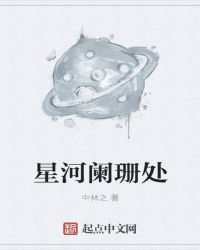 星河阑珊处章节列表