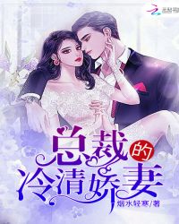 总裁的冷清娇妻章节列表
