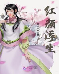红颜浮生章节列表