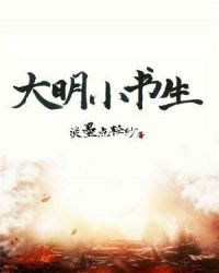 大明小书生章节列表