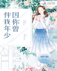 因你曾伴我年少章节列表
