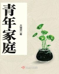 青年家庭章节列表