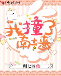 我撞了南墙章节列表