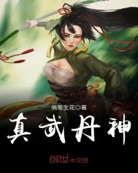 真武丹神章节列表