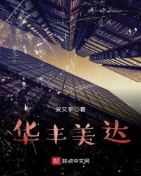 华丰美达章节列表