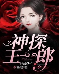 神探王一郎章节列表