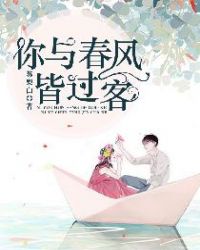 你与春风皆过客章节列表