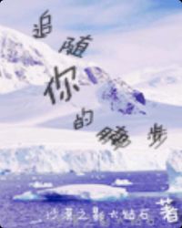 追随你的脚步章节列表