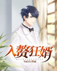 入赘狂婿章节列表