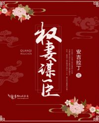 权妻谋臣章节列表