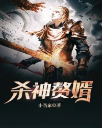 杀神赘婿章节列表