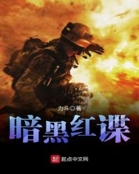 暗黑红谍章节列表