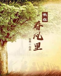 长在春风里章节列表